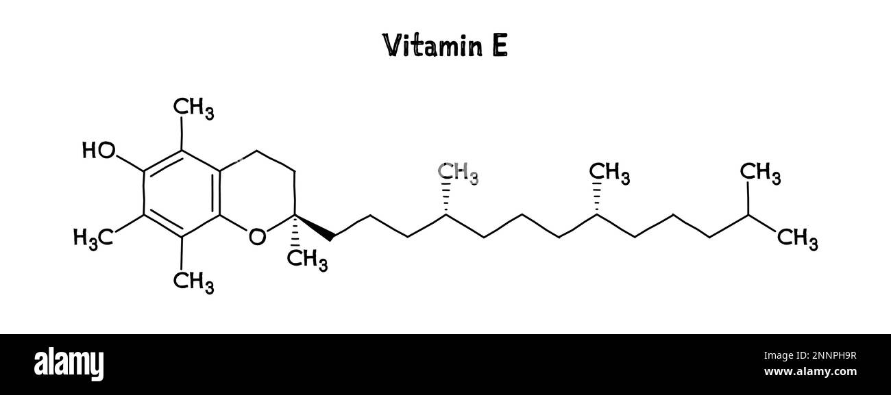 Structure moléculaire de la vitamine E. La vitamine E est un nutriment essentiel, soluble dans la graisse, aux propriétés anti-inflammatoires. .Formule structurelle vectorielle de composé chimique. Stylo noir de style dessiné à la main. Illustration de Vecteur