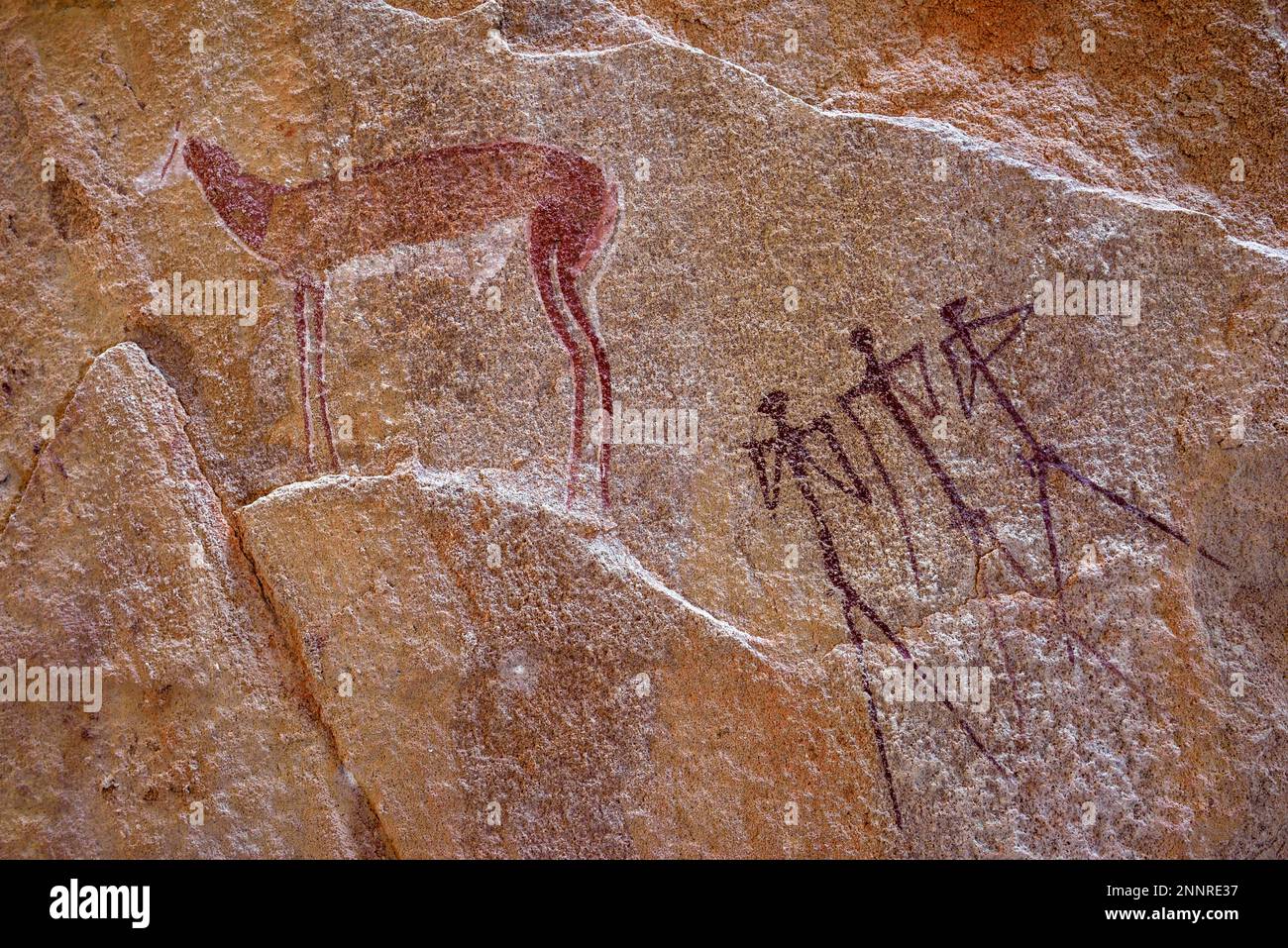 Peintures rupestres dans la grotte molaire, près de Twyfelfontein, région de Kunene, Namibie Banque D'Images