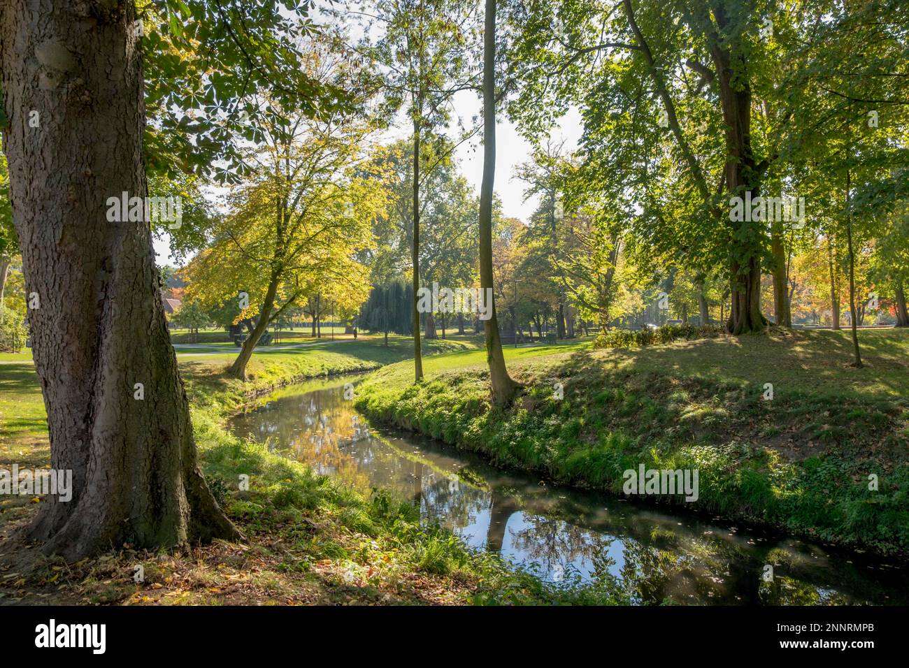 Parc du château de Velen Banque D'Images