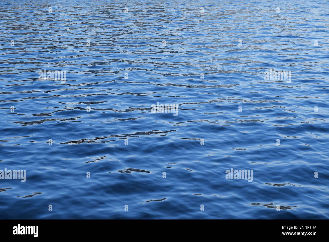 fond bleu foncé d'eau de mer avec des ondulations - motif de vagues naturelles de l'océan - fond plein cadre avec espace de copie Banque D'Images