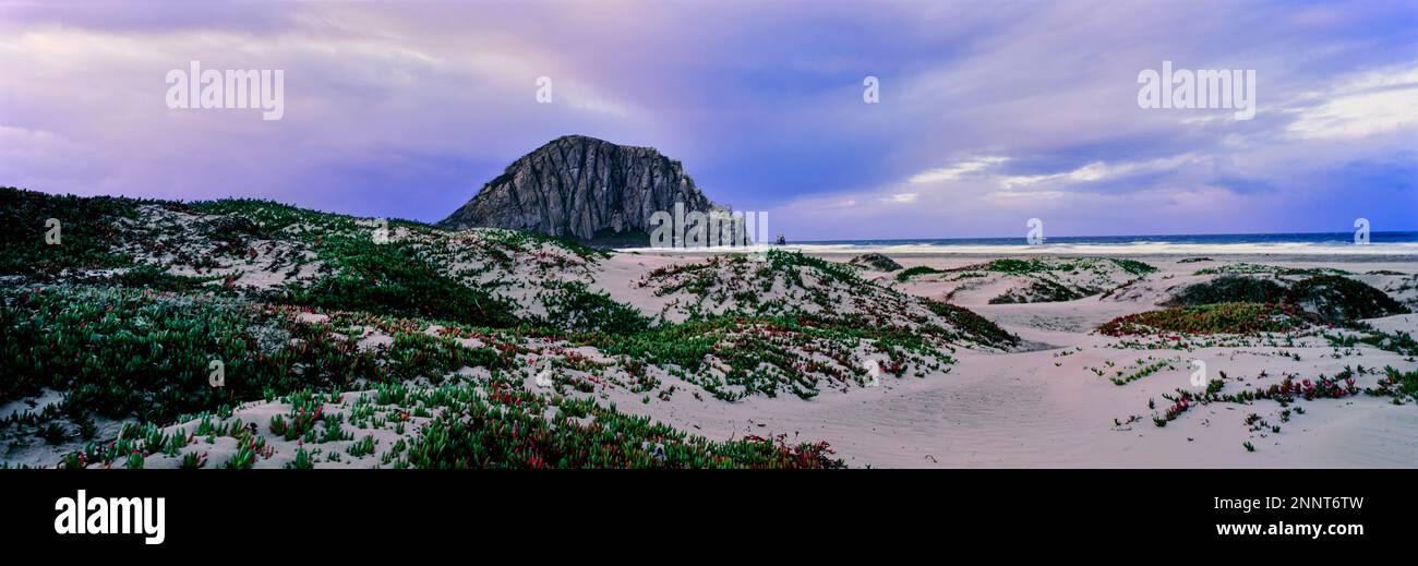 Vue sur les dunes de sable et le Morro Rock, Morro Bay, comté de San Luis Obispo, Californie, États-Unis Banque D'Images