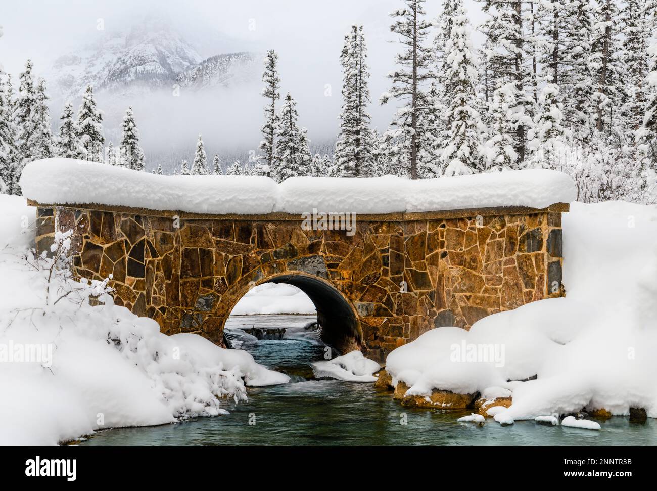 Pont du ruisseau Lake Louise en hiver, Lake Louise, Alberta, Canada Banque D'Images