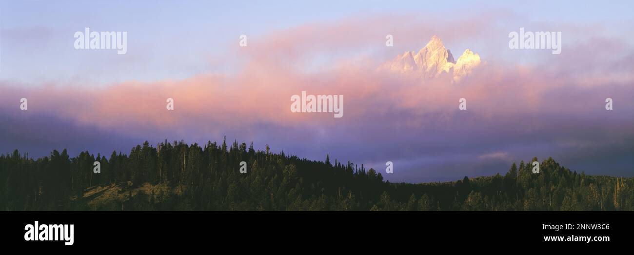 Cathedral Group s'étend derrière le brouillard au lever du soleil, parc national de Grand Teton, Wyoming, États-Unis Banque D'Images