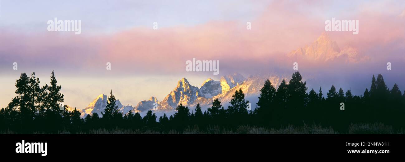 Chaîne de montagnes Cathedral Group derrière la forêt et les nuages, parc national de Grand Teton, Wyoming, États-Unis Banque D'Images