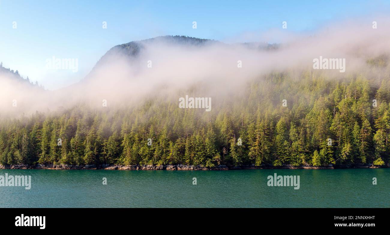 Panorama de l'île avec pins et cèdres, croisière à l'intérieur du passage entre Prince Rupert et Port Hardy, île de Vancouver, Colombie-Britannique, Canada Banque D'Images
