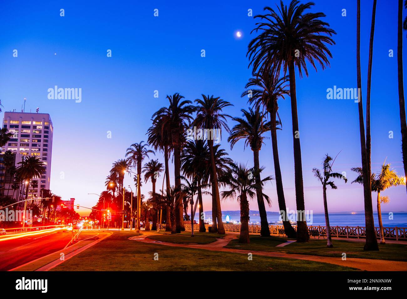 Palmiers en ville au coucher du soleil, Zuma Beach, Malibu, Californie, États-Unis Banque D'Images
