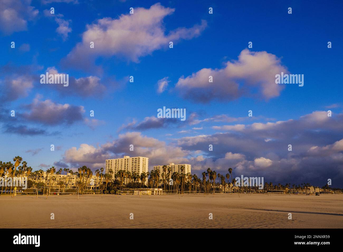 Ville et palmiers de l'autre côté de la plage, Zuma Beach, Malibu, Californie, États-Unis Banque D'Images
