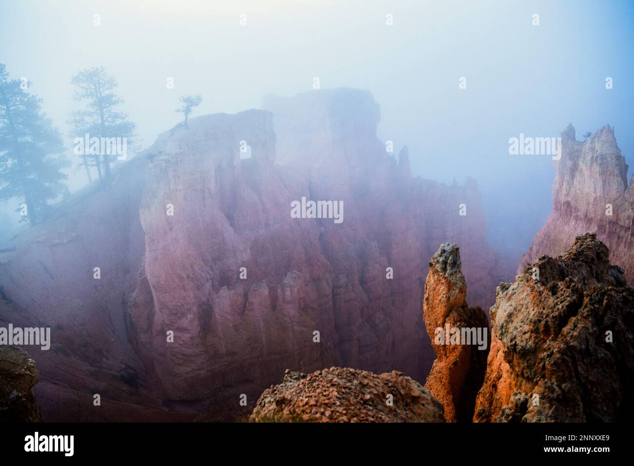 Brouillard sur les formations rocheuses de Bryce Canyon, Utah, États-Unis Banque D'Images