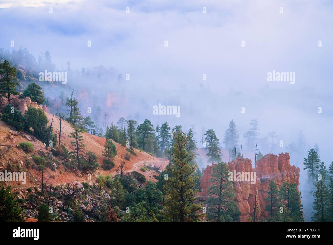 Brume sur Bryce Canyon, Utah, États-Unis Banque D'Images
