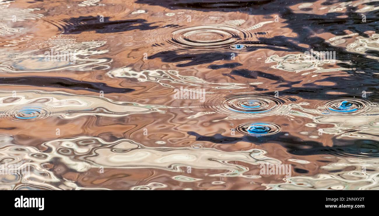 Réflexions dans l'eau, Indian Creek, Lake Powell, Glen Canyon Recreation Area, Utah, États-Unis Banque D'Images