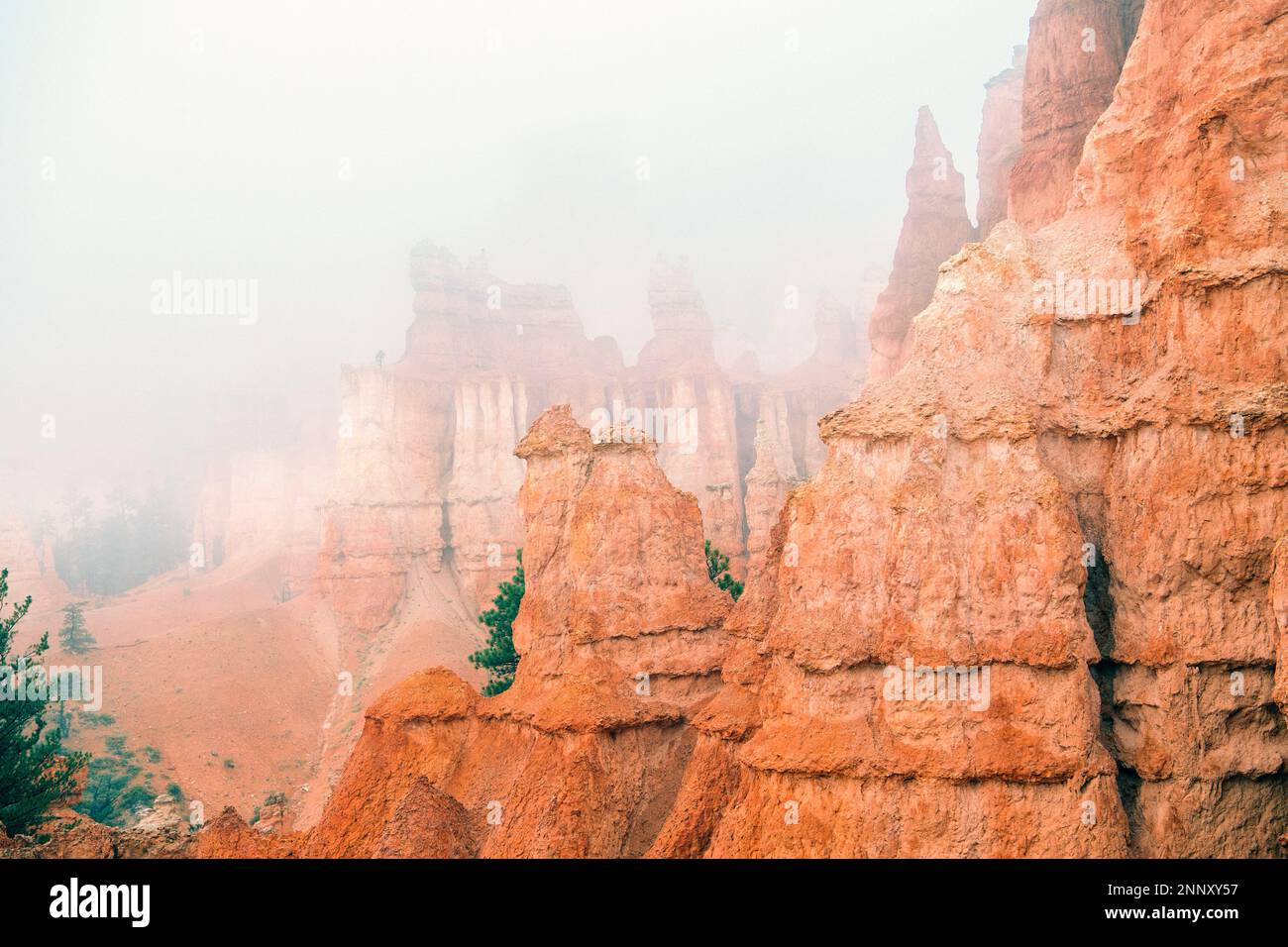 Formations rocheuses dans le brouillard, Bryce Canyon, Utah, États-Unis Banque D'Images