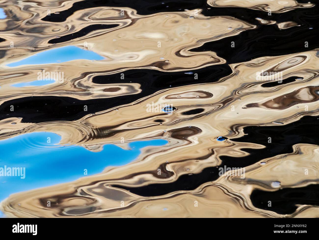 Réflexions dans l'eau, Indian Creek, Lake Powell, Glen Canyon Recreation Area, Utah, États-Unis Banque D'Images