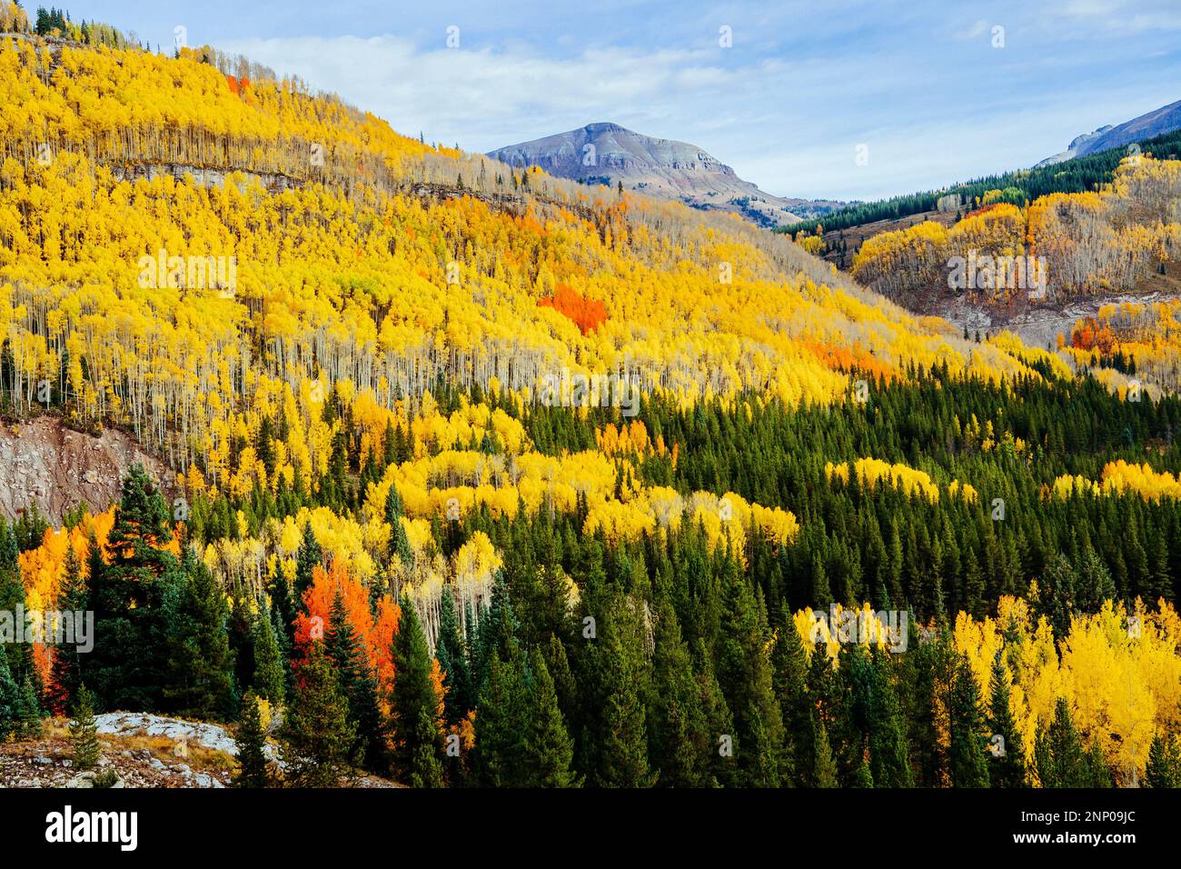 Paysage d'automne avec forêt à flanc de colline, Durango, Colorado, Etats-Unis Banque D'Images