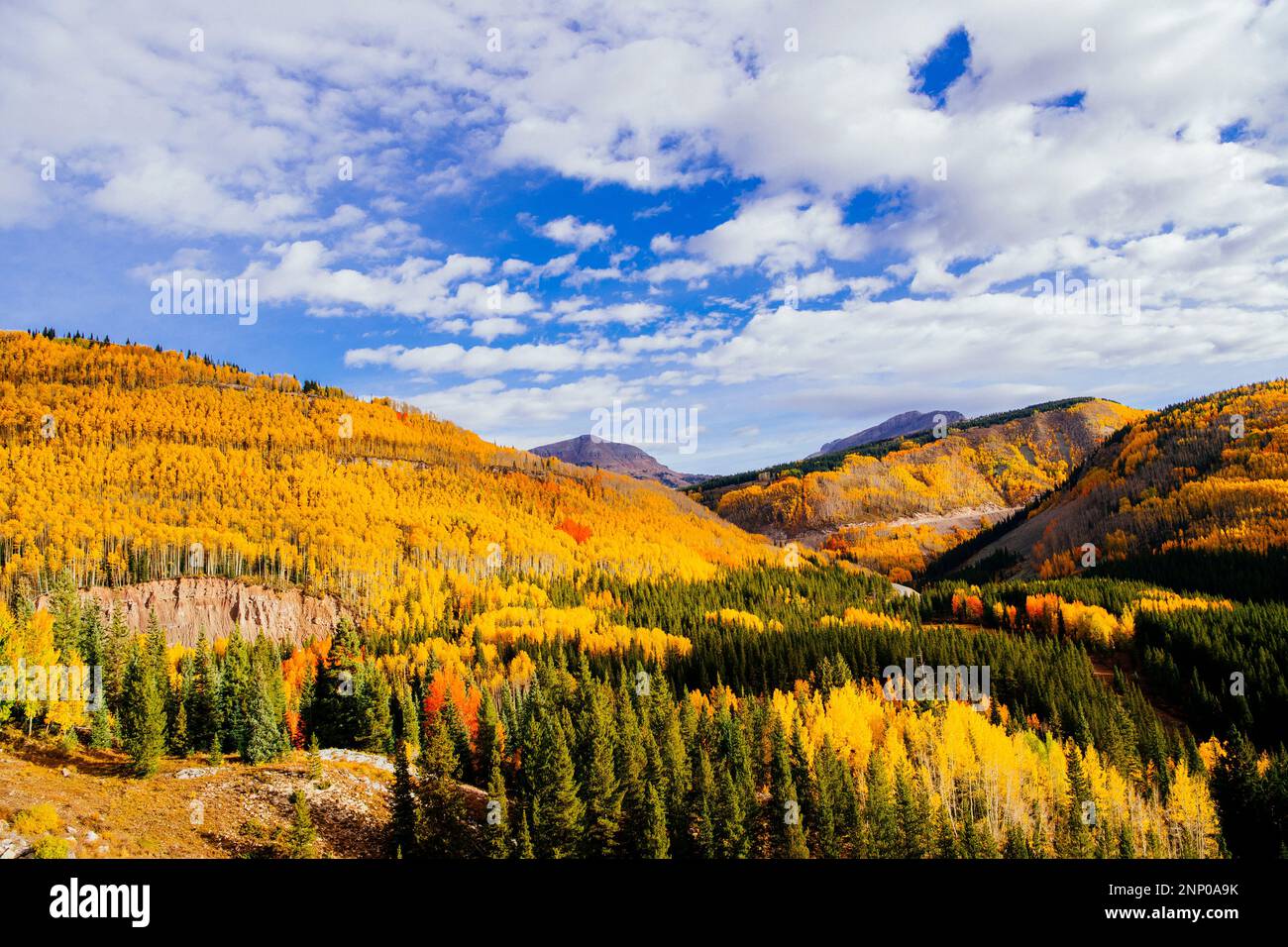Paysage d'automne avec forêt, Durango, Colorado, Etats-Unis Banque D'Images