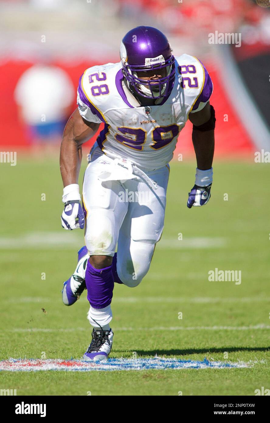 16 NOVEMBER 2008: Minnesota Vikings running back Adrian Peterson (28) during the Tampa Bay Buccaneers' 19-13 win over the Minnesota Vikings at Raymond James Stadium in Tampa, FL. (Icon Sportswire via AP Images) Banque D'Images