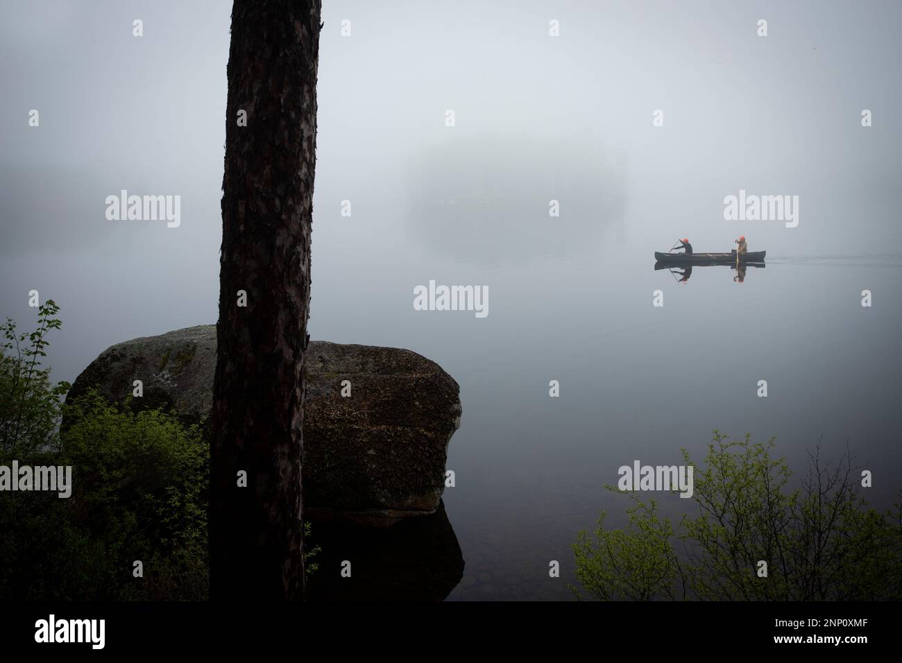 Pagayer dans le brouillard sur Togue Pond, Baxter State Park, Maine, Etats-Unis Banque D'Images