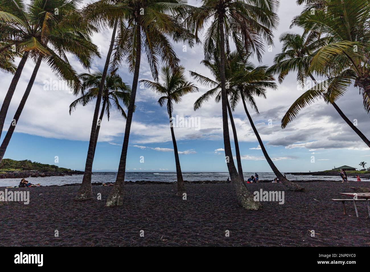 Punaluu Black Sand Beach est l'une des plages de sable noir les plus célèbres d'Hawaï. Le sable de la plage est fait de petits fragments de lave noir de pitch. Banque D'Images