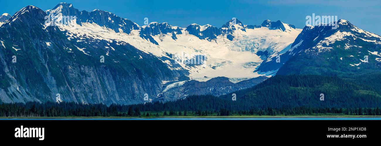 College Fjord, Prince William Sound, Alaska, USA Banque D'Images