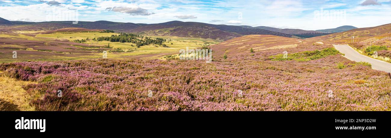 Route entre prairies, parc national de Cairngorms, Écosse, Royaume-Uni Banque D'Images