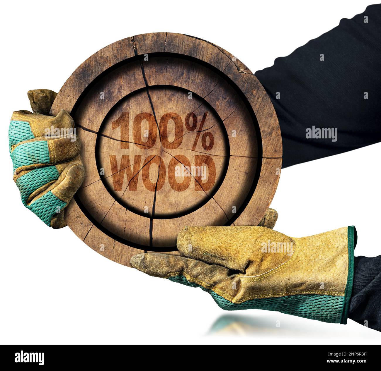 Mains avec des gants de travail de protection tenant une coupe transversale d'un tronc d'arbre avec l'expression, cent pour cent de bois. Isolé sur fond blanc. Banque D'Images