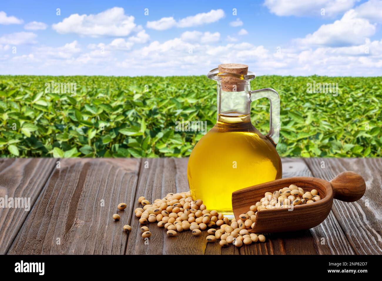 huile de soja en carafe avec graines de soja en pelle sur table et champ agricole vert sur fond Banque D'Images