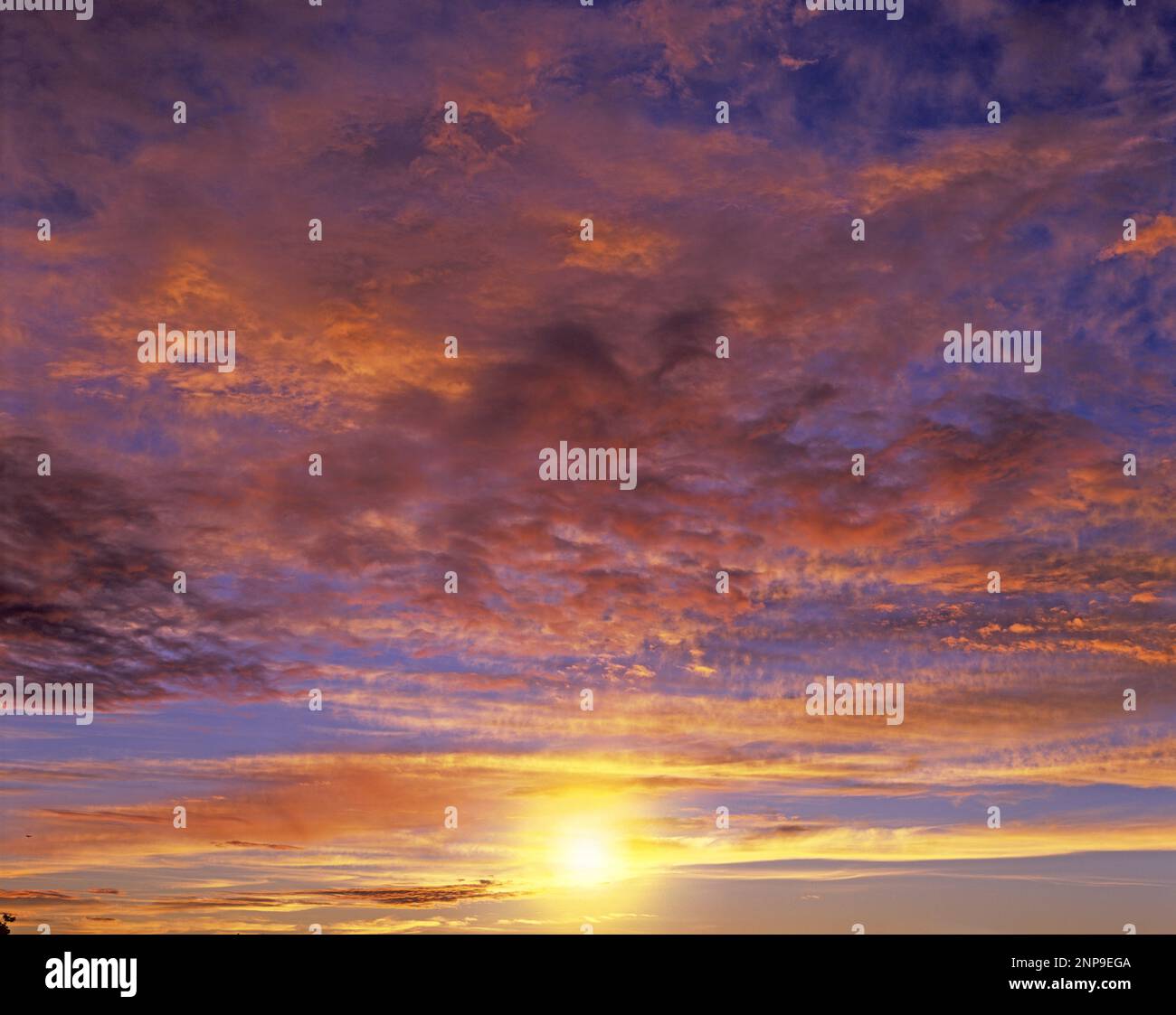 CLOUDSCAPE DE BANDES HORIZONTALES DE ROUGE JAUNE NUAGES SUR CIEL LUEUR ROSE Banque D'Images