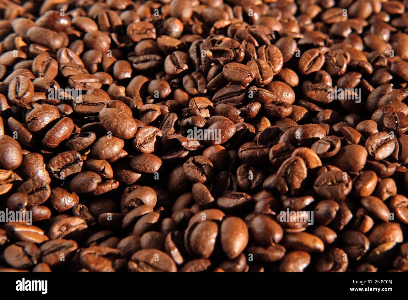 Fond de grains de café. Gros plan sur la texture des grains de café. Le café torréfié brun foncé tourne. Abondance. Concept pour la publicité des produits du café. S Banque D'Images