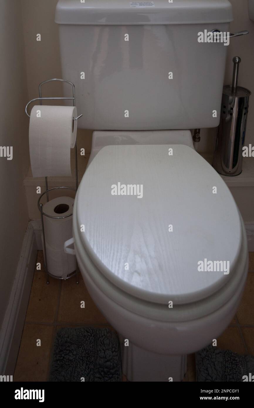 Gros plan des toilettes blanches doubles avec support de rouleau de toilettes et brosse pour toilettes en acier inoxydable Banque D'Images