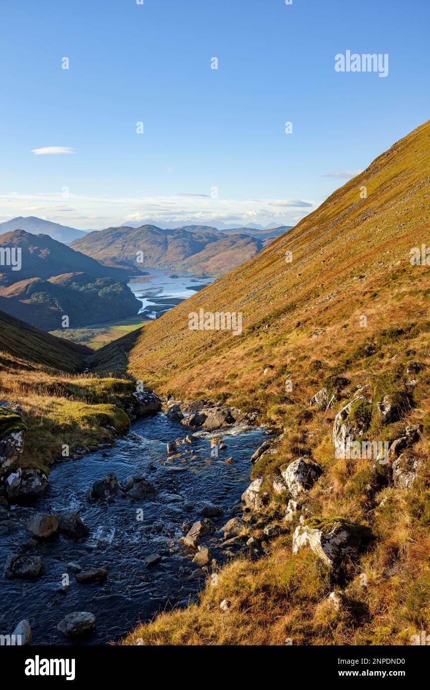 Le ruisseau de montagne Allt a Choire Mhoir s'écoulant vers Loch long. Banque D'Images