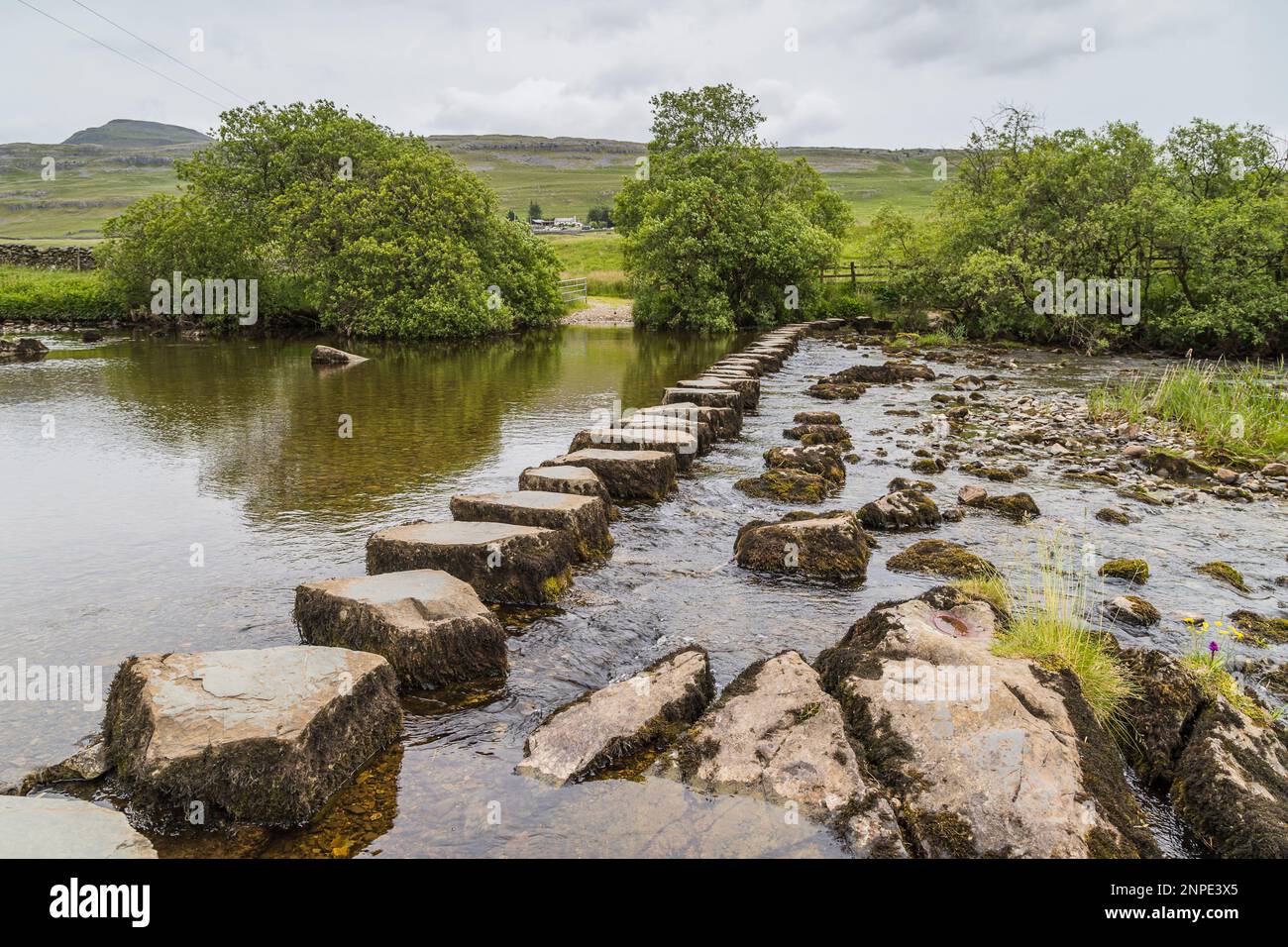 En regardant les pierres de pas au-dessus des chutes Beezley pendant que l'eau de la rivière Doe descend dans la dernière moitié de la piste des chutes d'eau d'Ingelton dans le North Yorkshire. Banque D'Images