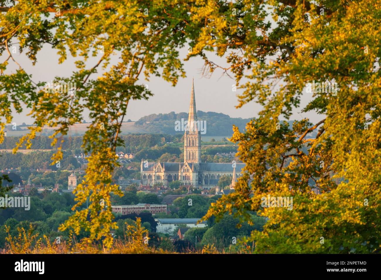 Cathédrale de Salisbury vue depuis le vieux Sarum au lever du soleil. Banque D'Images