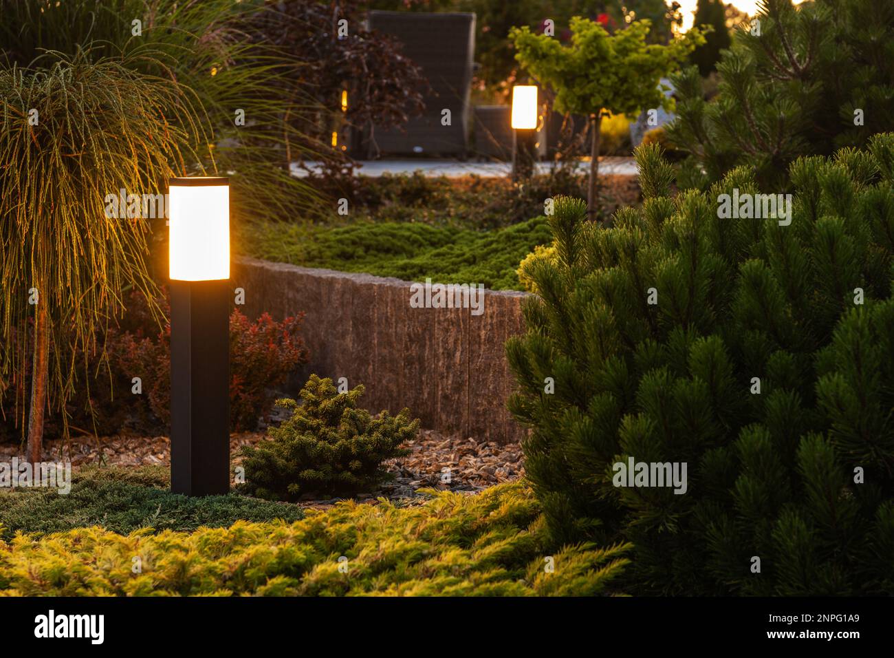 Arrière Yard Garden Paysage Illumination à l'aide de l'éclairage extérieur à LED. Technologies d'éclairage de jardin et d'architecture. Banque D'Images