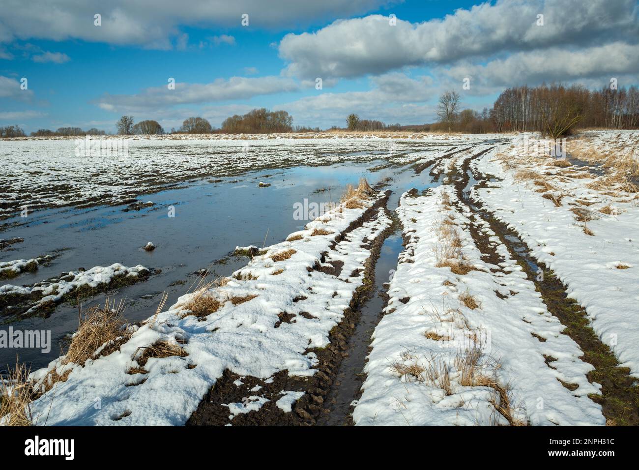 Fonte de neige sur le terrain et la route rurale, Zarzecze, Pologne Banque D'Images
