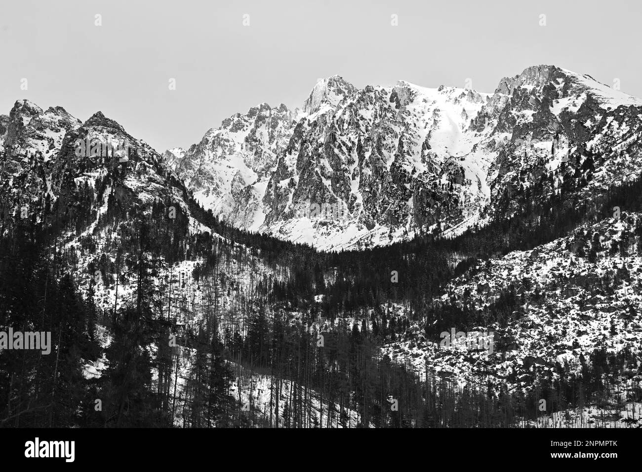 Vysoké Tatry, chaîne de montagnes au-dessus de Starý Smokovec, avec pic Lomnický štít en noir et blanc Banque D'Images