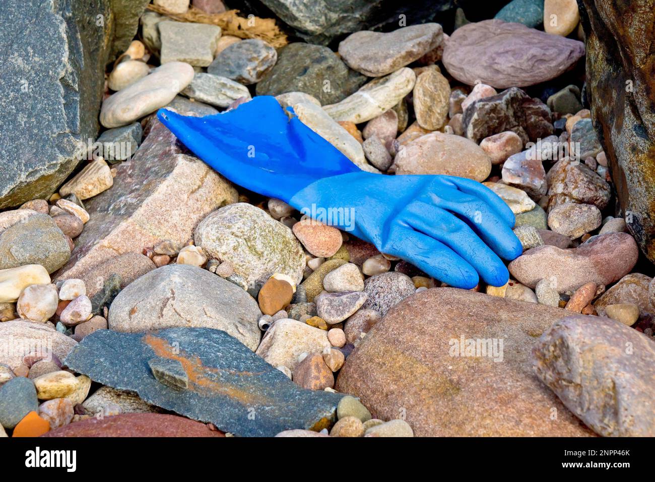 Gros plan d'un gant en caoutchouc bleu, largement utilisé dans l'industrie de la transformation du poisson, trouvé lavé parmi les rochers et les cailloux d'une plage. Banque D'Images