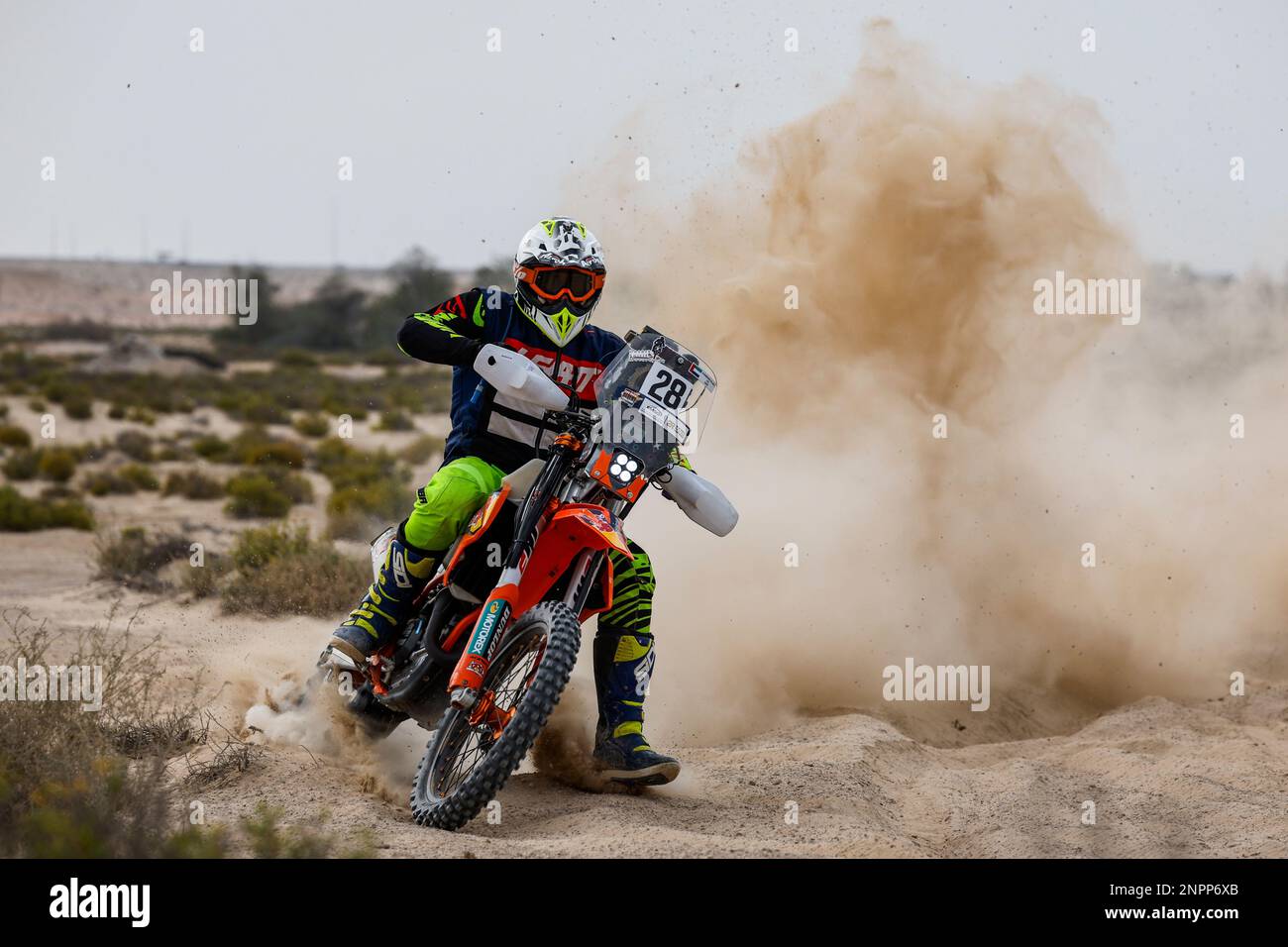 28 AL ALI Hamdan (are), Husqvarna 450 FE, action pendant le Prologue du défi du désert d'Abou Dhabi 2023, 2nd ronde de la saison 2023 W2RC, sur 26 février 2023 à Al Dhannah, Abu Dhabi - photo Julien Delfosse / DPPI Banque D'Images