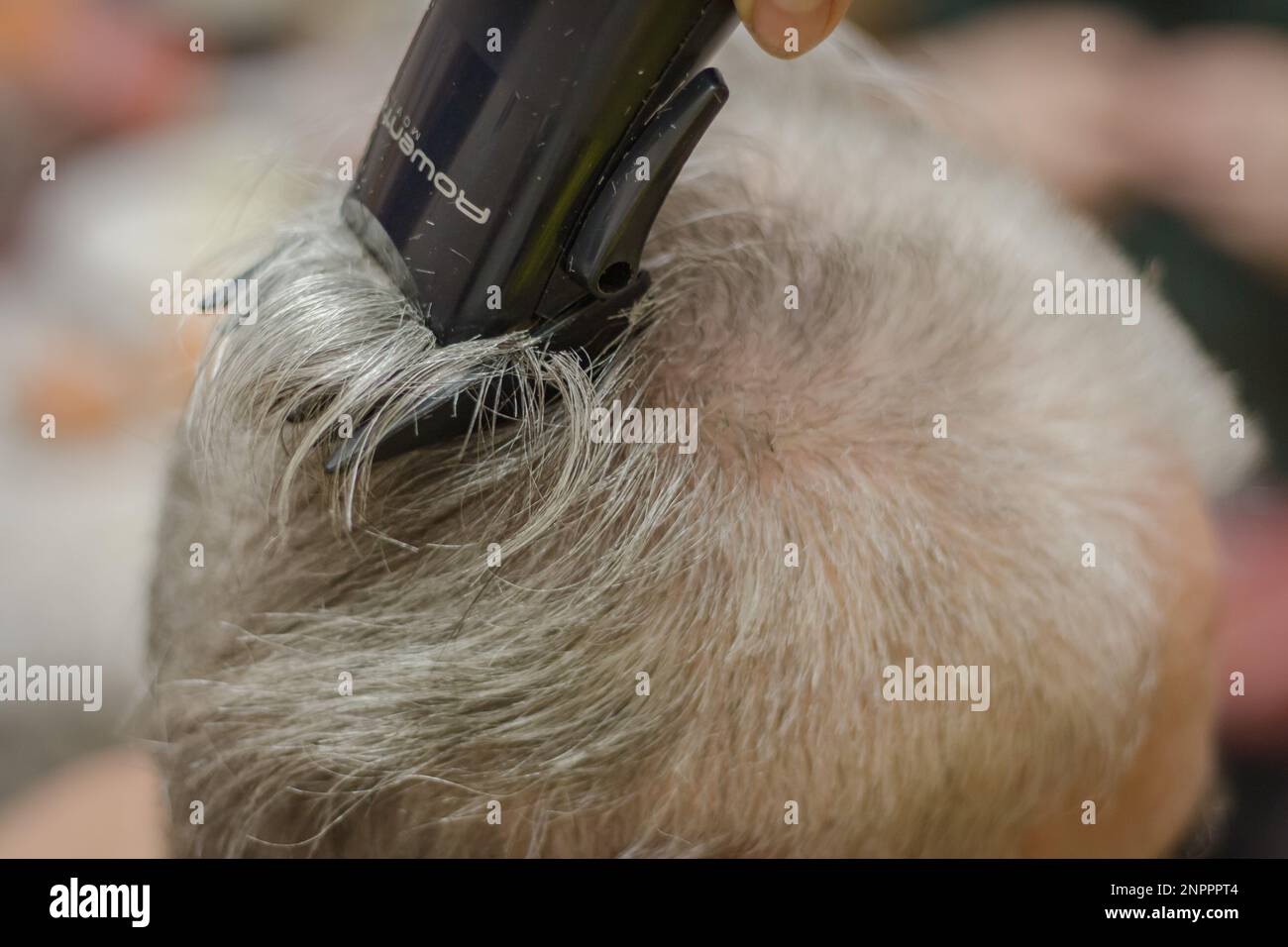 Coiffeur coupez les cheveux avec la tondeuse Rowenta. Styliste coupant les cheveux gris. Salon de coiffure. Tonte des cheveux d'homme. Coupe-herbe dans la main du coiffeur. Banque D'Images