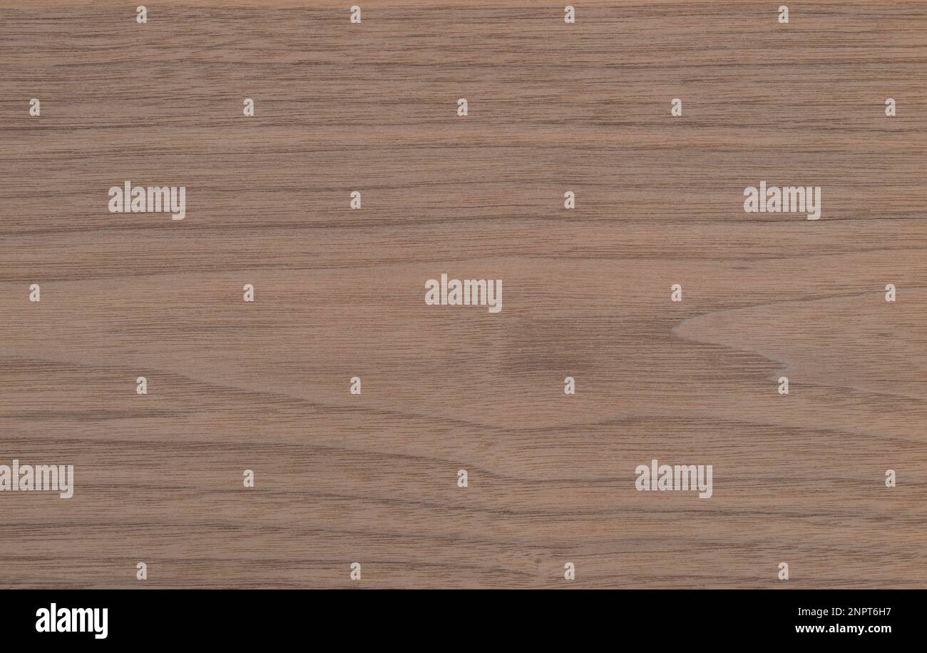 Motif de texture de panneau en bois Cappucino naturel aux noix Banque D'Images