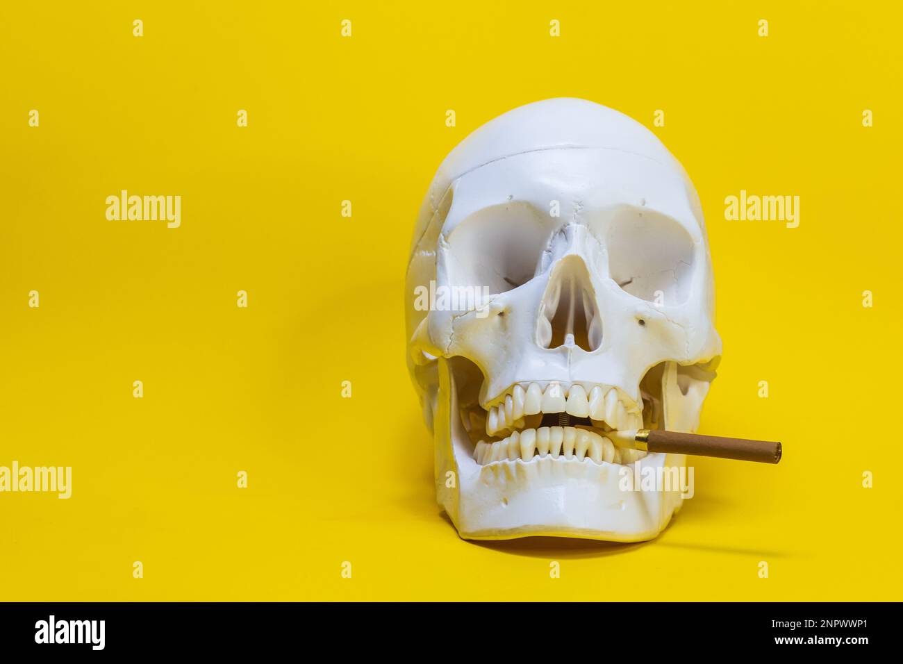 crâne d'un homme avec un squelette d'os de cigarette, un objet, sinistre horreur terrible, avec une cigarette . concept mort de fumer de la nicotine Banque D'Images