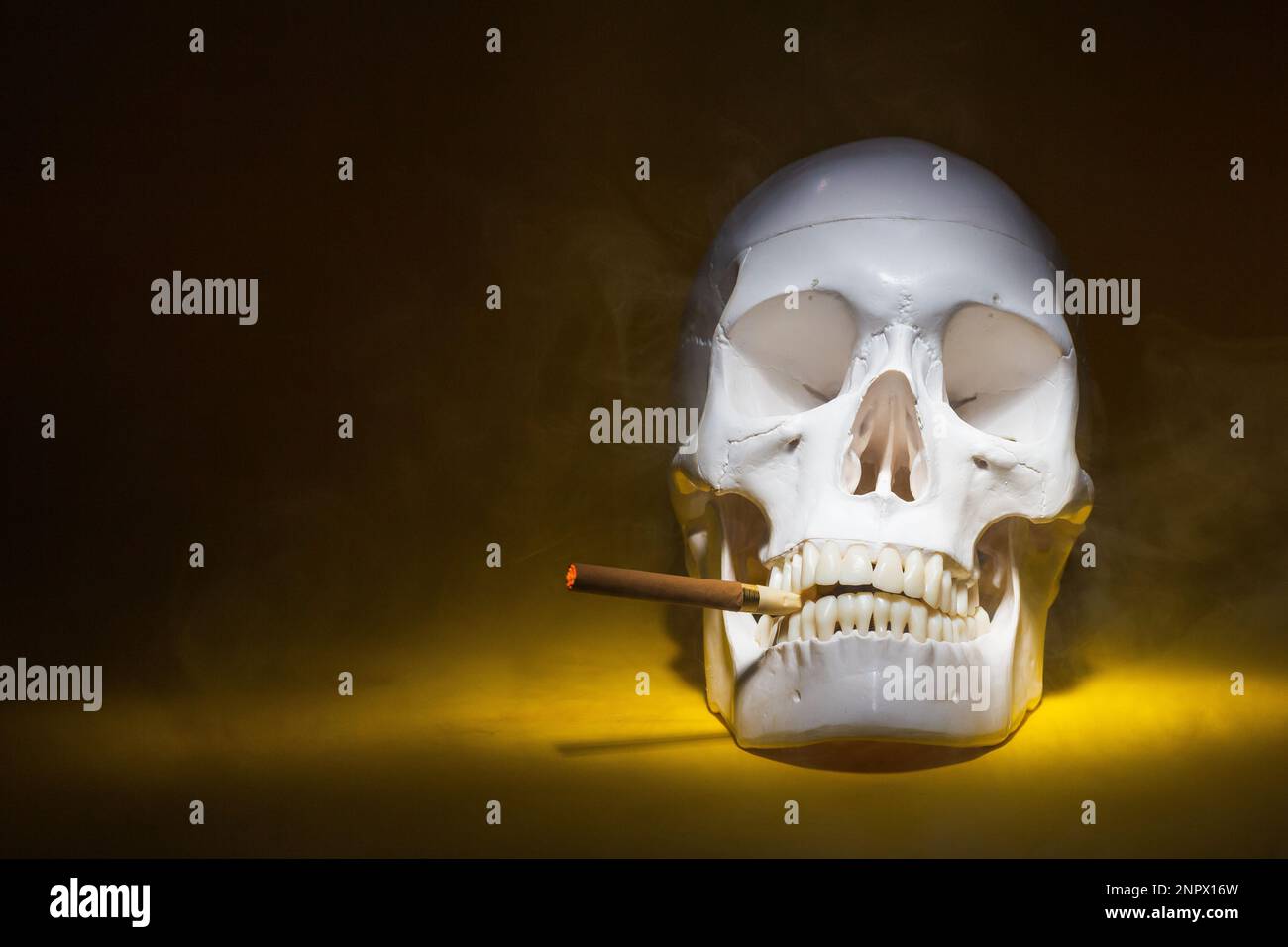 crâne d'un homme avec un squelette d'os de cigarette, un objet, sinistre horreur terrible, spot lumière, avec une cigarette brûlante dans la fumée. concept mort fro Banque D'Images