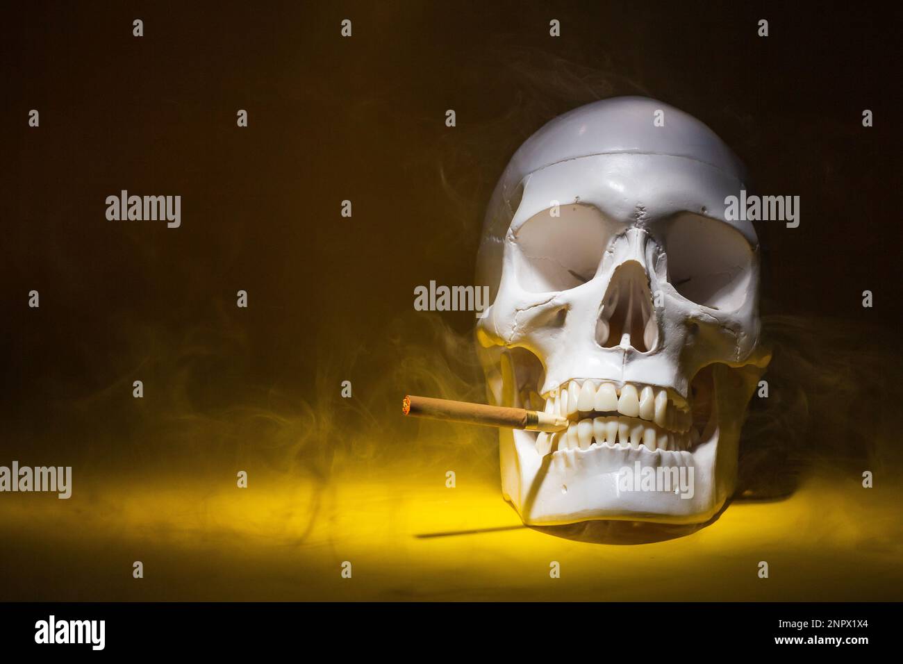 crâne d'un homme avec un squelette d'os de cigarette, un objet, sinistre horreur terrible, spot lumière, avec une cigarette brûlante dans la fumée. concept mort fro Banque D'Images