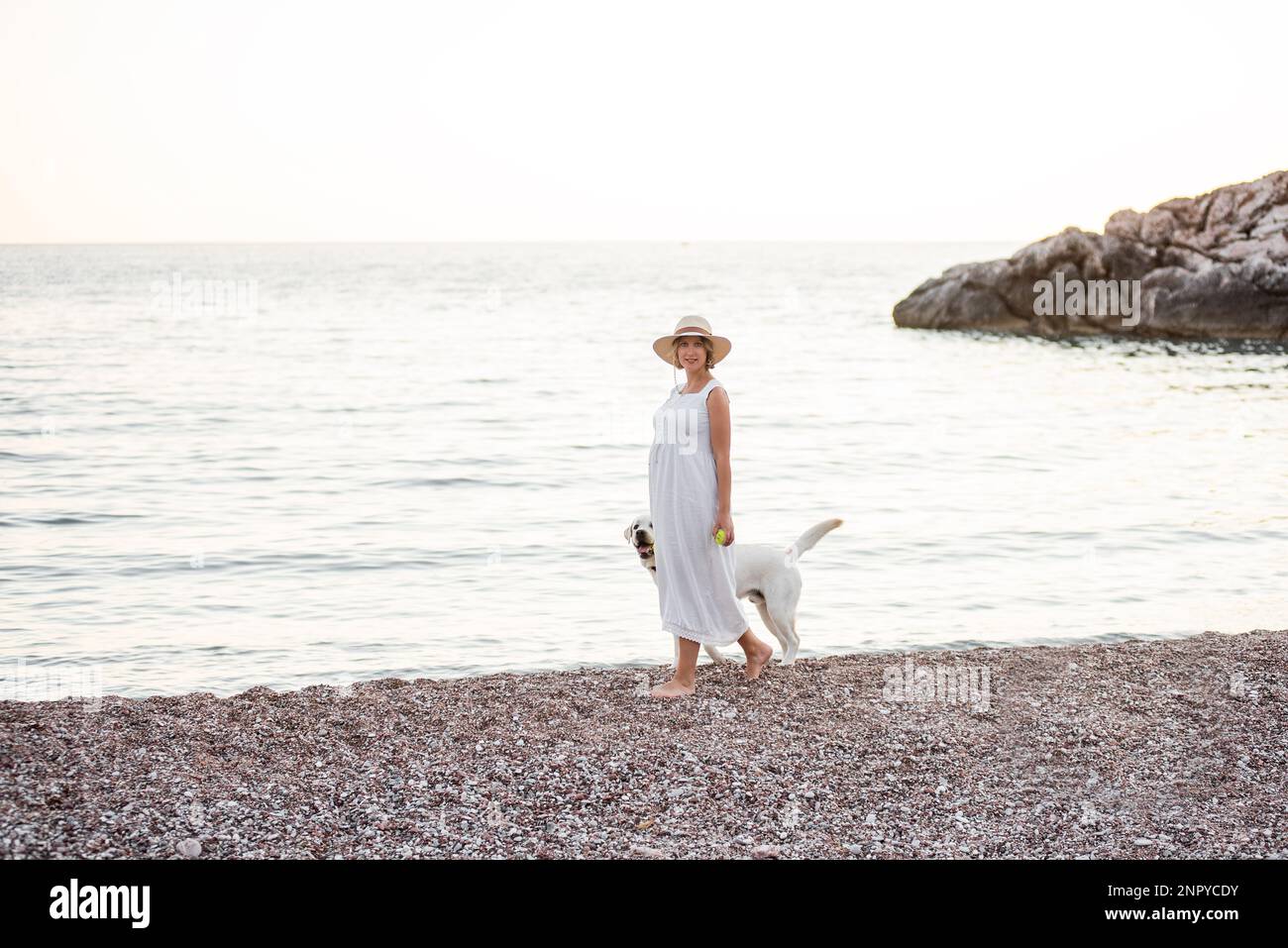 Future mère enceinte marchant le long du sable de la plage près de la mer avec Golden Retriever. Femme millénaire en chapeau blanc tient le chien sur la laisse. Conce Banque D'Images