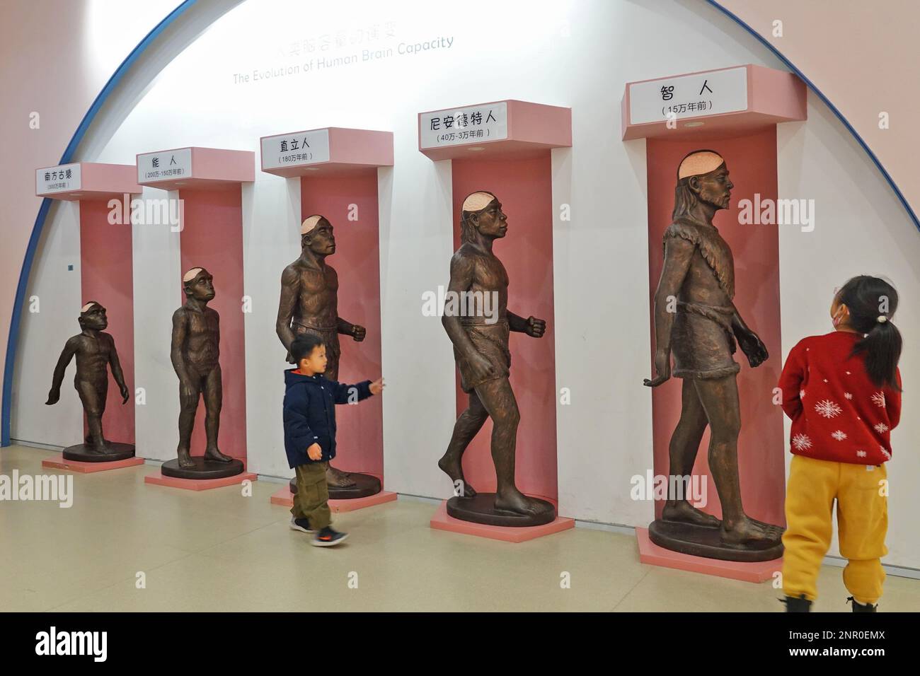 QINGDAO, CHINE - 26 FÉVRIER 2023 - les enfants apprennent à connaître l'évolution de la capacité du cerveau humain au Centre de découverte scientifique d'Hisense à Qingdao, dans l'est du Chi Banque D'Images