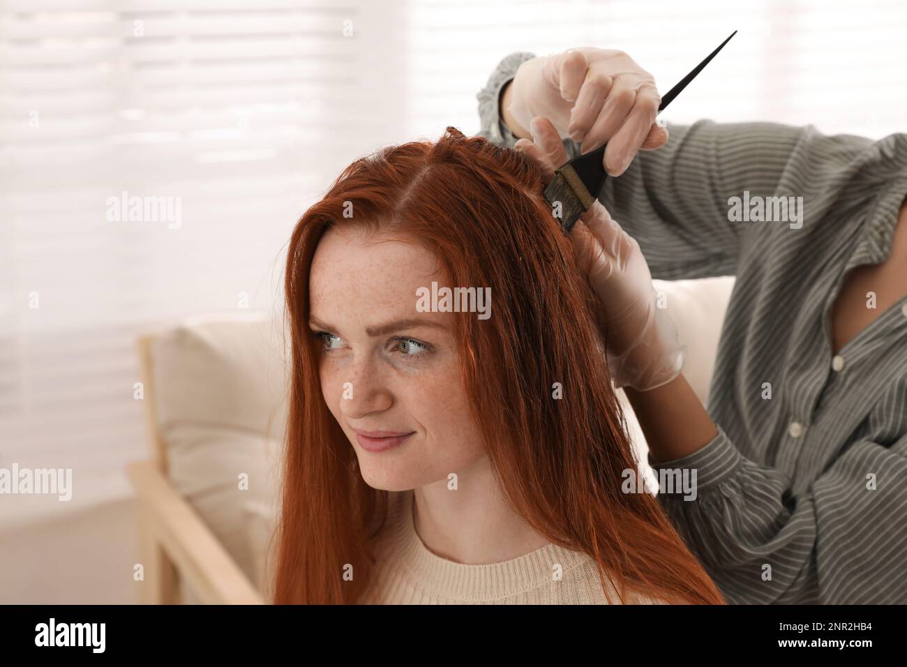 Coiffeur professionnel teint les cheveux de la femme avec le henné dans le  salon de beauté Photo Stock - Alamy