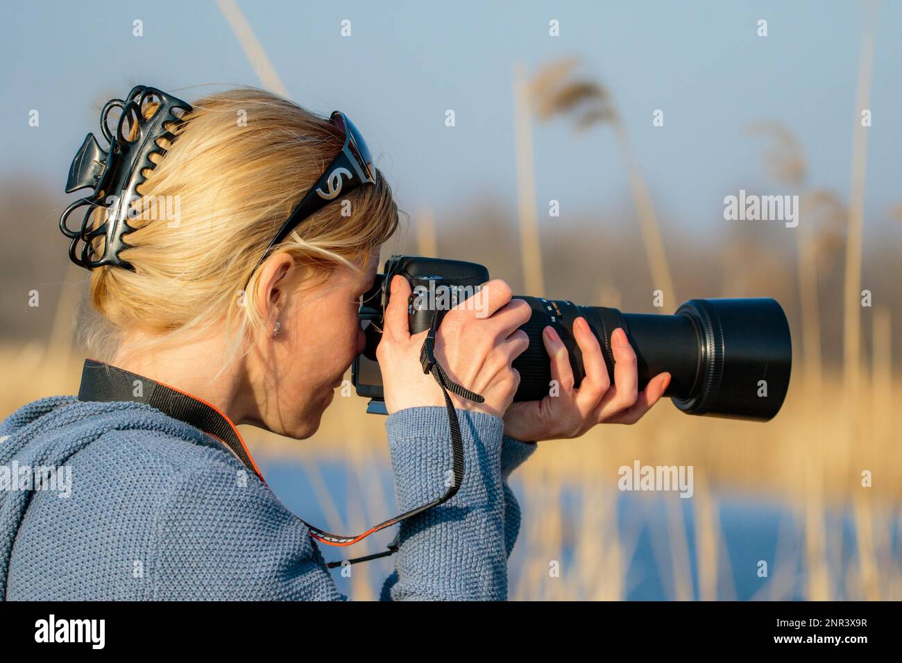 Nature Photographie Photographie du stand d'observation Banque D'Images