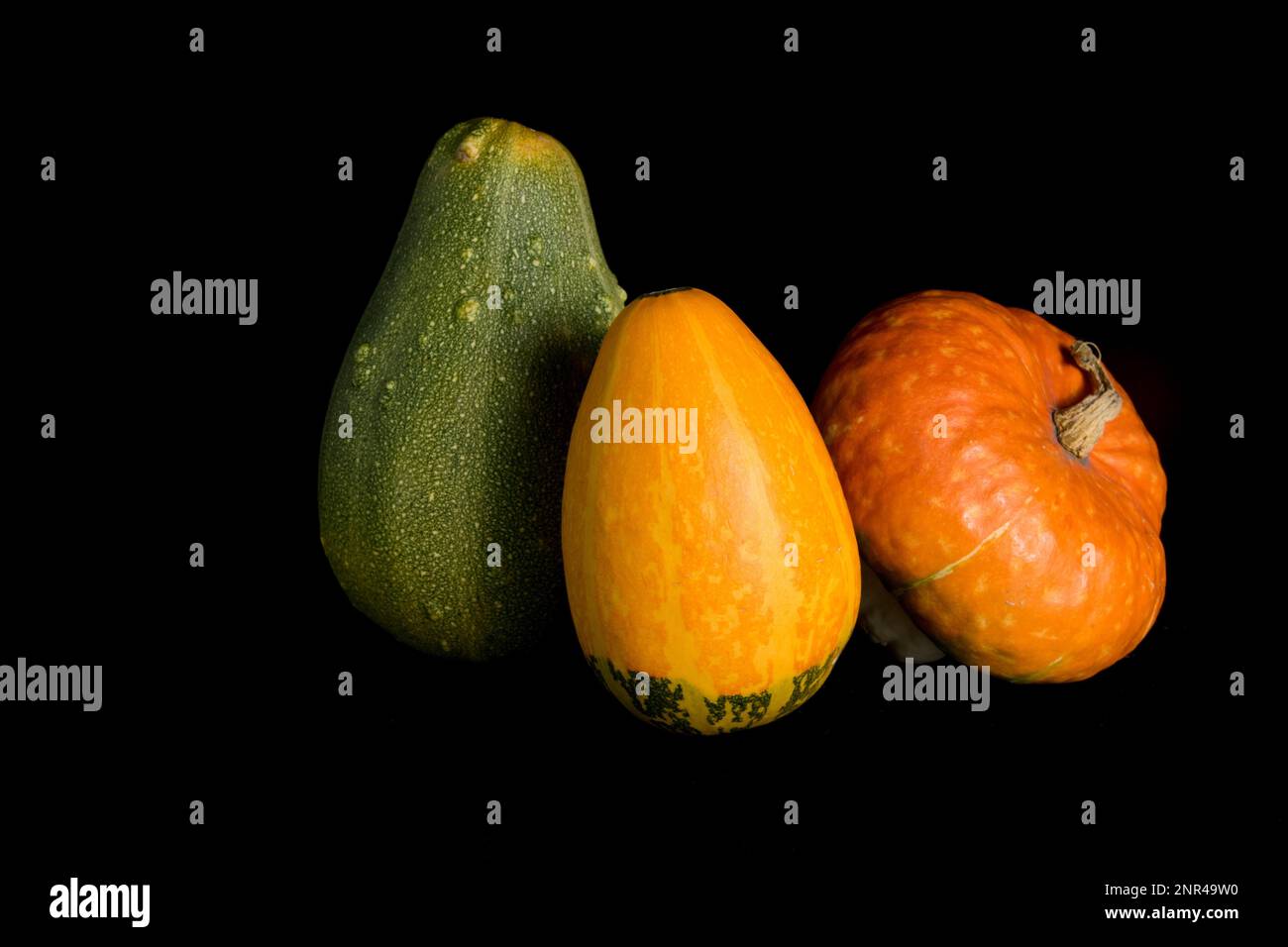 Citrouille colorée sur fond noir. En studio Banque D'Images