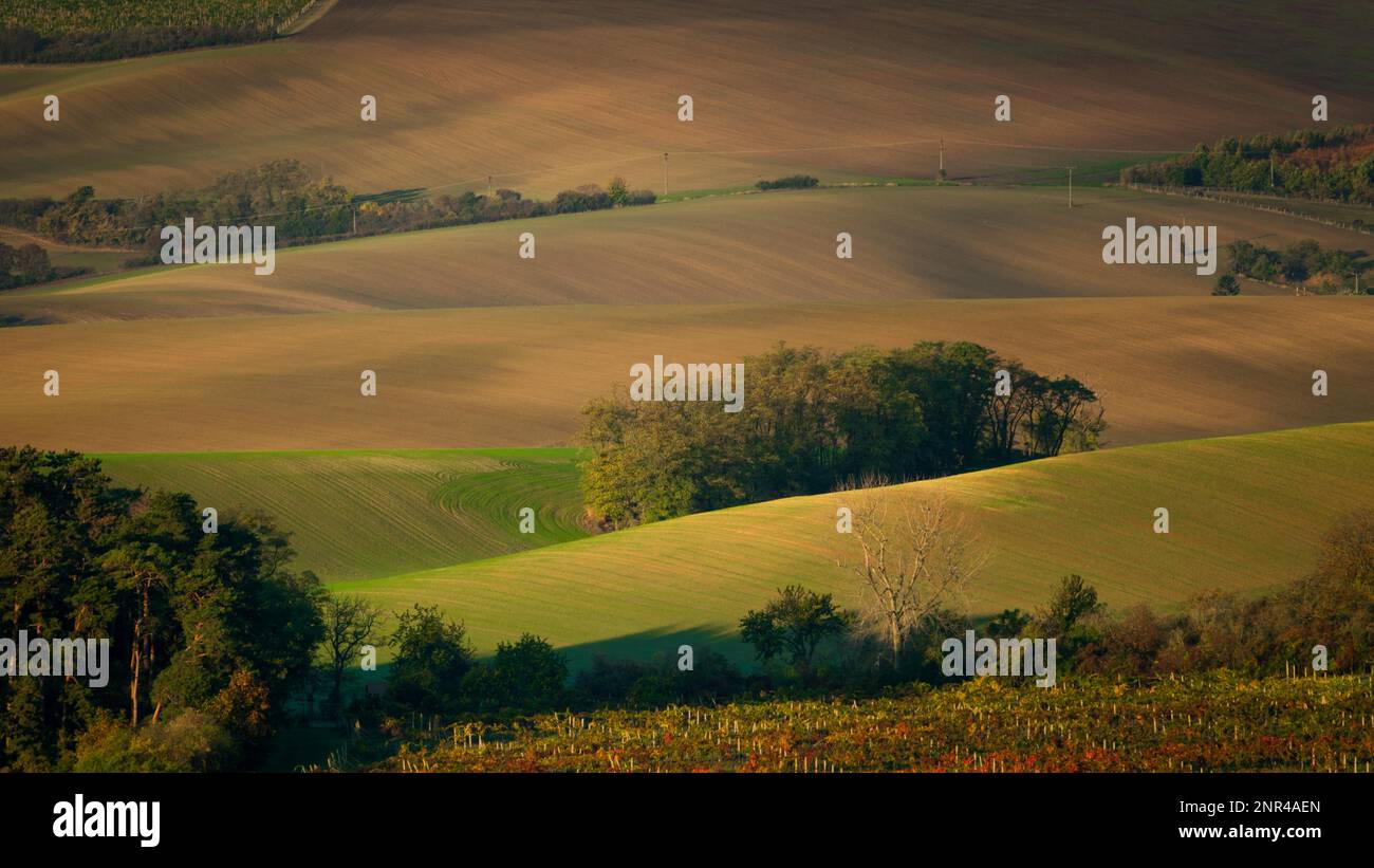 Une matinée merveilleuse dans les champs moraves en automne. Des couleurs magnifiques. République tchèque, Moravie, République tchèque Banque D'Images