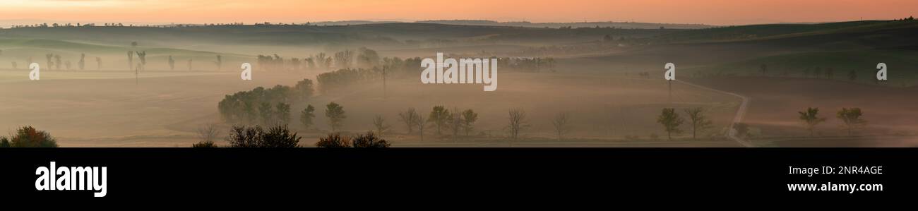 Un magnifique panorama de champs verdoyants de Moravie enveloppé dans le brouillard du matin. République tchèque, Moravie, République tchèque Banque D'Images
