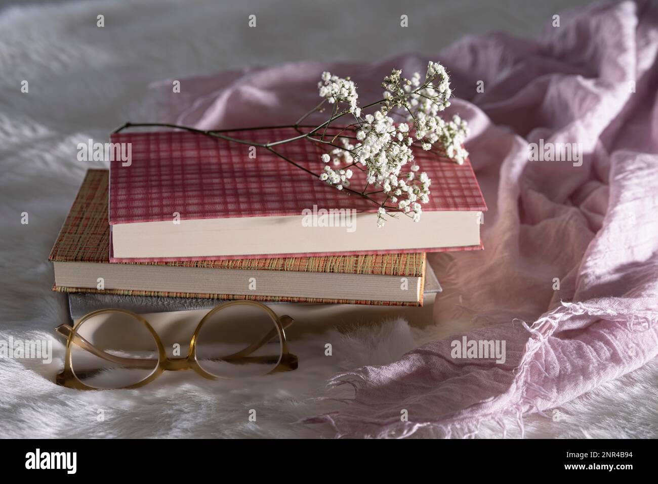 Trois livres fermés avec des verres et des babayes souffle sur la fourrure blanche avec le tissu rose, encore la vie Banque D'Images