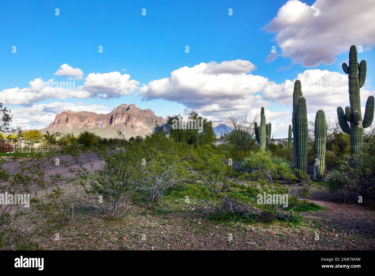 Le paysage de Superstition Mountain Range près d'Apache Junction, en Arizona. Banque D'Images